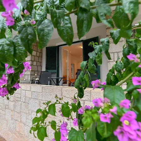 Maraska Apartament *